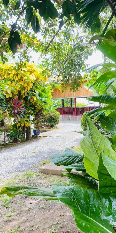 Hospedaje Quepos Exteriér fotografie